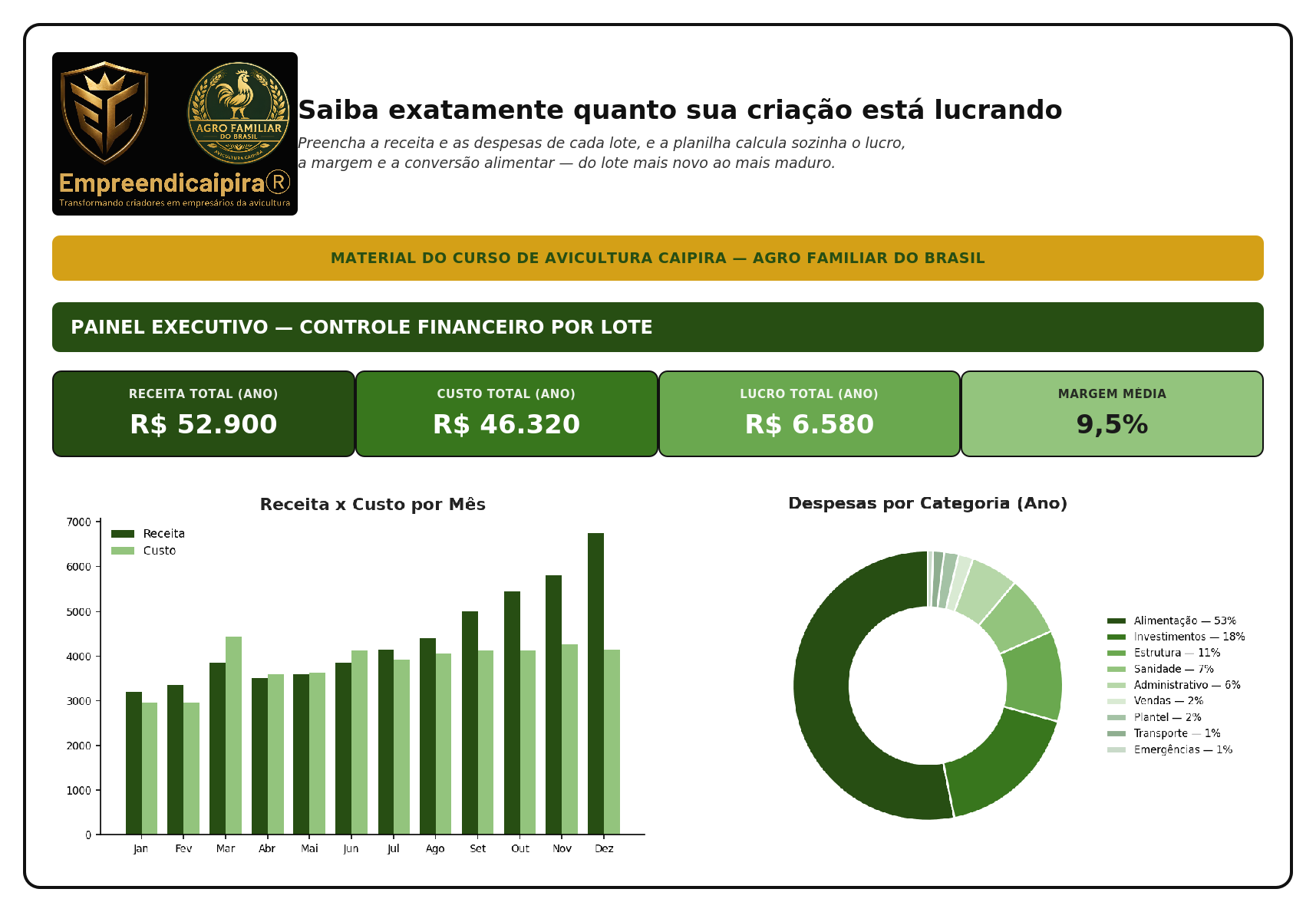 preview_dashboard_avicultura_site